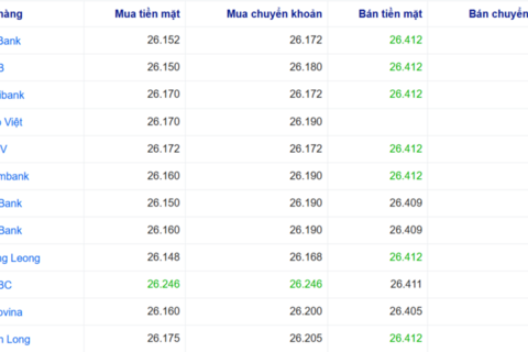 Tỷ giá USD ngày 10/12/2025: Hạ nhiệt trên thị trường tự do