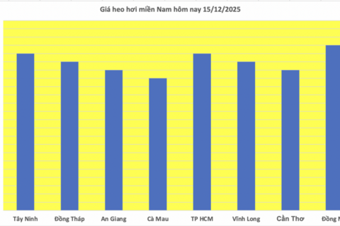 Giá heo hơi hôm nay 15/12/2015: Đi ngang