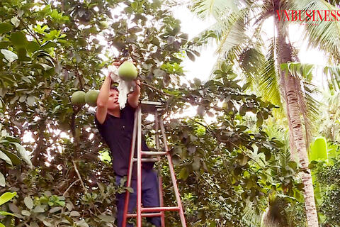 Cách mạng số mở lối cho HTX trẻ ở Gia Lai tiêu thụ hàng trăm tấn nông sản