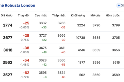 Giá cà phê hôm nay 19/12/2025: Lao dốc, xuống dưới mốc 90.000 đồng/kg