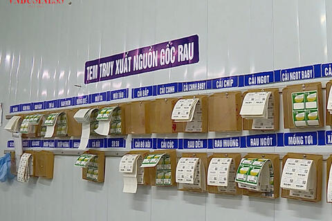 Người trồng rau Chúc Sơn làm nông bằng dữ liệu, đổi thay từ chuyển đổi số HTX