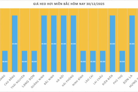 Giá heo hơi hôm nay 30/12/2025: Biến động trái chiều