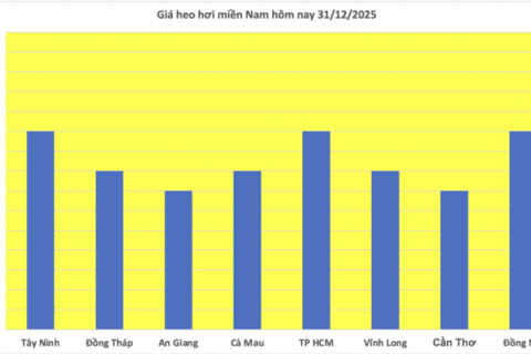 Giá heo hơi hôm nay 31/12/2025: Diễn biến trái chiều