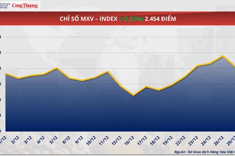 Giá ngô quay trở lại mức thấp nhất trong vòng hai tuần