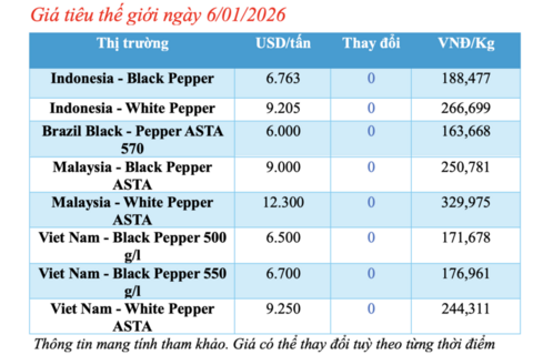 Giá tiêu hôm nay 6/1/2026: Chững lại chờ tín hiệu mới