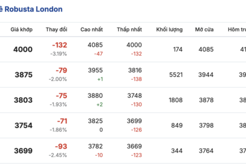 Giá cà phê hôm nay 6/1/2026: Tăng nhẹ 100 đồng/kg
