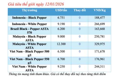 Giá tiêu hôm nay 12/1/2026: Neo cao quanh mốc 150.000 -152.500 đồng/kg