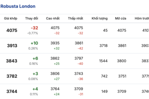Giá cà phê hôm nay 13/1/2026: Giữ đà bình ổn