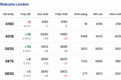 Giá cà phê hôm nay 20/1/2026: Cao nhất 99.000 đồng/kg