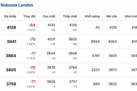 Giá cà phê hôm nay 21/1/2026: Tăng nhẹ 500 - 600 đồng/kg