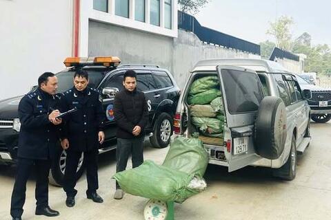 Bắt giữ gần 800 kg lá cây thuốc lá không có chứng từ hợp pháp tại Cao Bằng