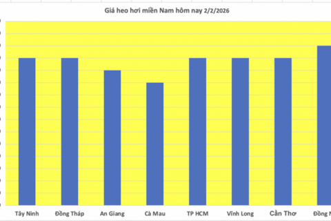 Giá heo hơi hôm nay 2/2/2026: Giảm diện rộng tại miền Bắc, miền Trung
