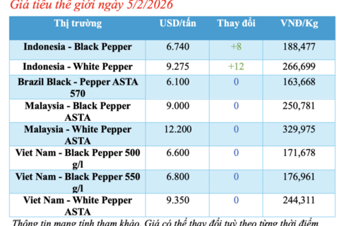 Giá tiêu hôm nay 5/2/2026: Tiêu nội địa neo cao