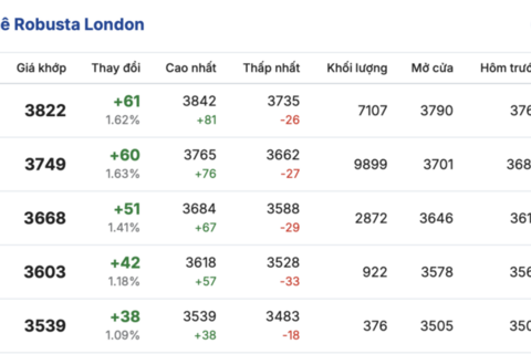 Giá cà phê hôm nay 6/2/2026: Tiếp tục giảm nhẹ