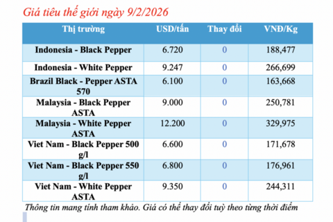 Giá tiêu hôm nay 9/2/2026: Dao động từ 148.000 - 150.500 đồng/kg