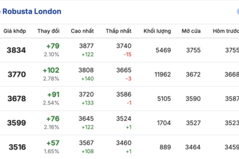 Giá cà phê hôm nay 10/2/2026: Tăng 1.000 đồng/kg