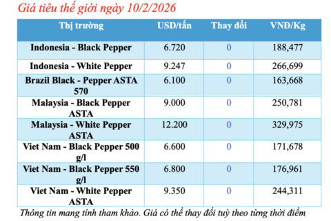Giá tiêu hôm nay 10/2/2026: Tạm chững