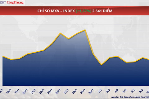 Giá đường thế giới chạm đáy 5 năm