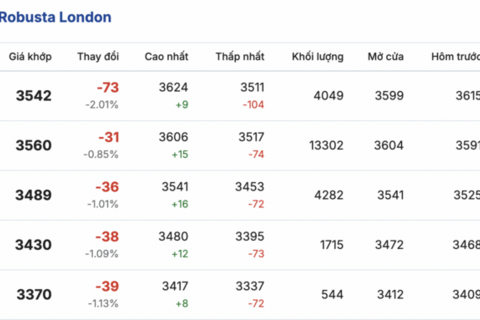 Giá cà phê hôm nay 24/2/2026: Đi ngang