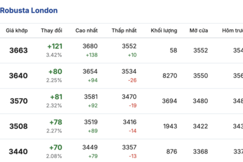 Giá cà phê hôm nay 25/2/2026: Giảm nhẹ 300 - 400 đồng/kg