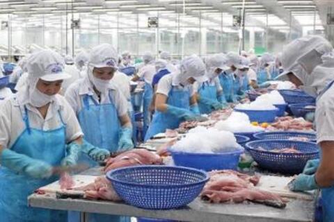 Yếu tố nào giúp xuất khẩu thủy sản tăng trưởng đầu năm 2026?