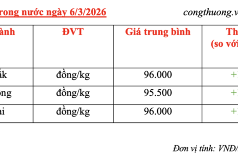 Giá cà phê hôm nay 6/3/2026: Đảo chiều tăng nhẹ
