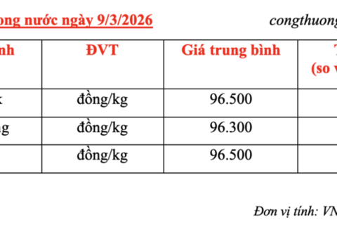 Giá cà phê hôm nay 9/3/2026: Đi ngang