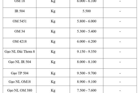 Giá lúa gạo hôm nay ngày 11/3/2026: Gạo xuất khẩu OM 5451 tiếp đà tăng
