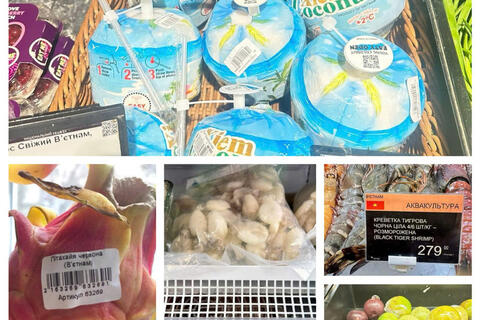 Việt Nam - Ukraine: Đón 'làn sóng' tái thiết, mở rộng không gian hợp tác kinh tế