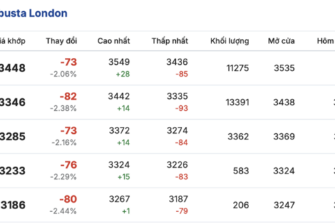 Giá cà phê hôm nay 3/4/2026: Tăng 800 - 1.000 đồng/kg