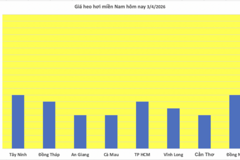 Giá heo hơi hôm nay 3/4/2026: Tiếp đà tăng giá ở miền Bắc, miền Trung