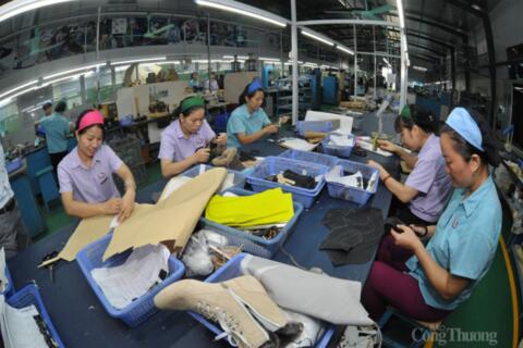 Việt Nam - Ấn Độ thúc đẩy kết nối chuỗi cung ứng da giày