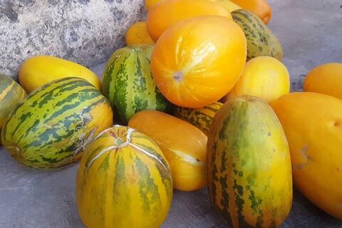 Giá nông sản hôm nay 22/4/2026: Tăng, giảm trái chiều