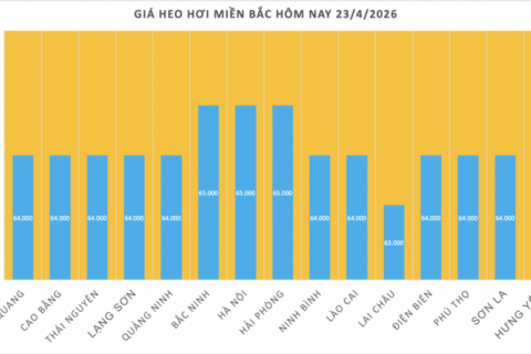 Giá heo hơi hôm nay 23/4/2026: Tăng nhẹ tại Cần Thơ