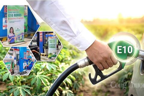 Nhiên liệu sinh học: Hướng đi bền vững cho ngành năng lượng Việt Nam
