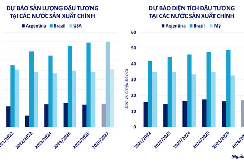 Giá đậu tương thế giới quay trở lại sắc đỏ
