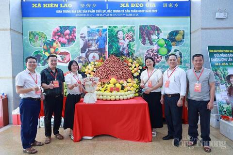 Thứ trưởng Nguyễn Sinh Nhật Tân: Chất lượng là 'giấy thông hành' cho vải thiều Bắc Ninh