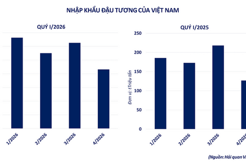 Giá đậu tương tăng mạnh nhờ thị trường nhiên liệu sinh học tại Mỹ