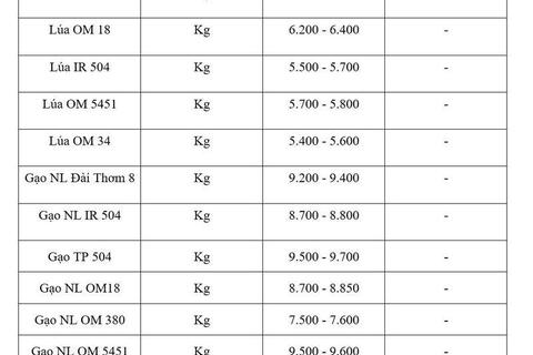 Giá lúa gạo hôm nay ngày 24/6: Gạo thơm Jasmine giảm 1.000 đồng/kg
