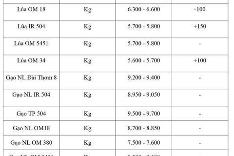Giá lúa gạo hôm nay ngày 9/7/2026: Lúa tươi biến động trái chiều