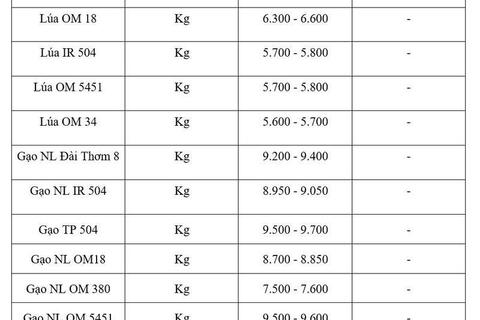 Giá lúa gạo hôm nay ngày 13/7/2026: Tấm thơm tăng nhẹ
