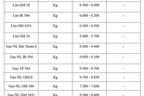 Giá lúa gạo hôm nay ngày 15/7: Gạo thơm Jasmine giảm 1.000 đồng/kg