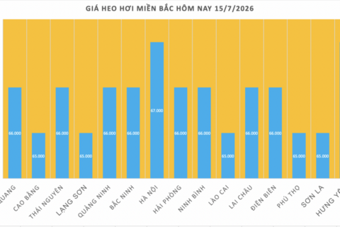 Giá heo hơi hôm nay 15/7/2026: Tăng tại miền Nam