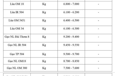 Giá lúa gạo hôm nay ngày 22/7/2026: Gạo xuất khẩu tiếp đà tăng