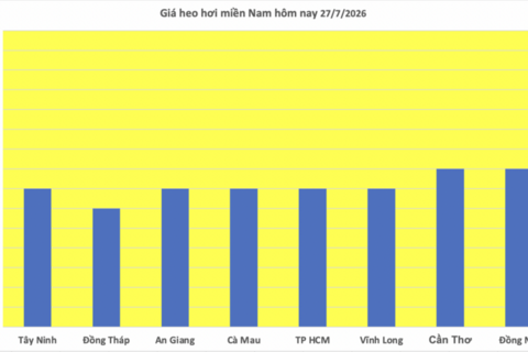 Giá heo hơi hôm nay 27/7/2026: Giảm 1.000 đồng/kg tại nhiều địa phương