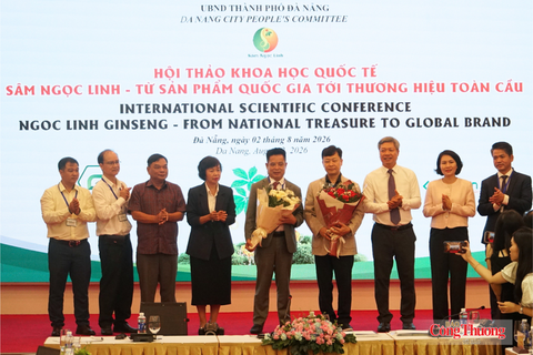 Tìm lời giải đưa Sâm Ngọc Linh thành thương hiệu toàn cầu