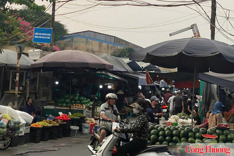 Ban Quản lý chợ đầu mối phía Nam khẳng định không thu phí vào chợ