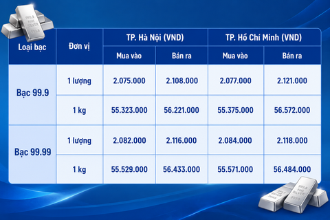 Giá bạc hôm nay 11/8/2026: Bạc chịu nhiều sức ép