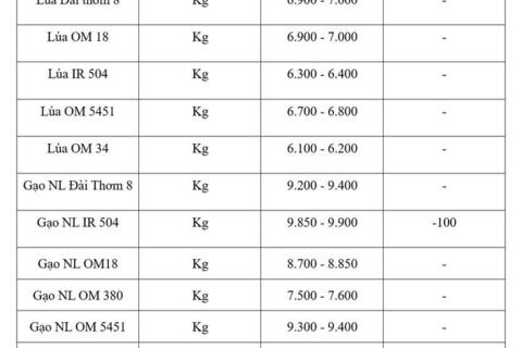 Giá lúa gạo hôm nay ngày 17/8: Gạo nguyên liệu xuất khẩu đảo chiều giảm nhẹ