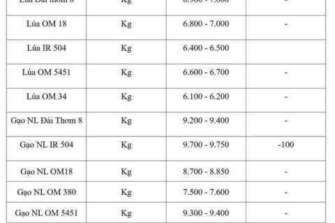 Giá lúa gạo hôm nay ngày 21/8: Gạo nguyên liệu xuất khẩu tiếp đà giảm